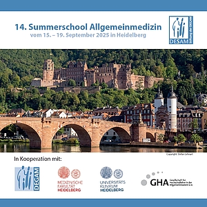 Flyer DESAM SummerSchool 2025 in Heidelberg